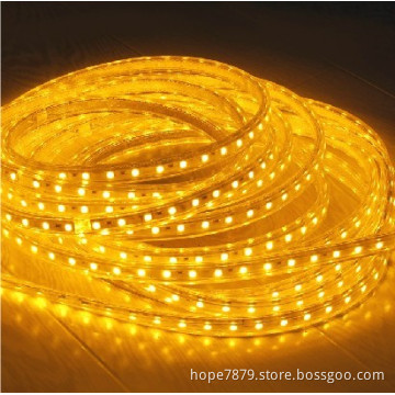 Waterproof 12V SMD 5050 60LEDs LED Flexible Strip